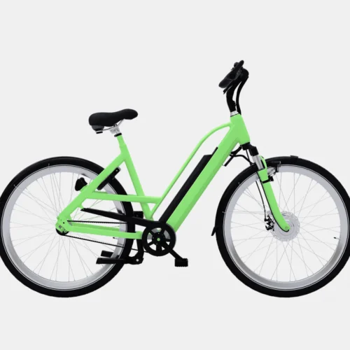 product-image-1_3 Accumsan Nulla